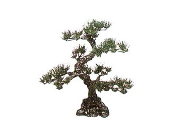 Decoration pine tree