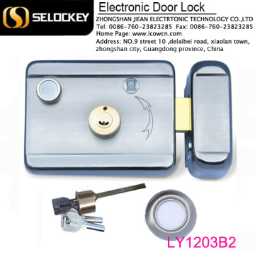 brushless motor electric smart door lock(LY1203B2)