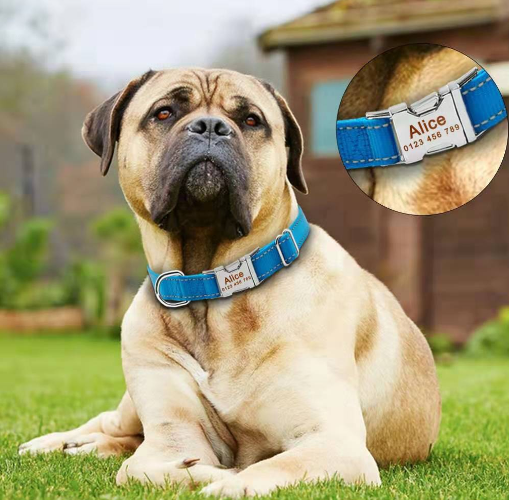 Dog Collar Custom Dog Collar Custom