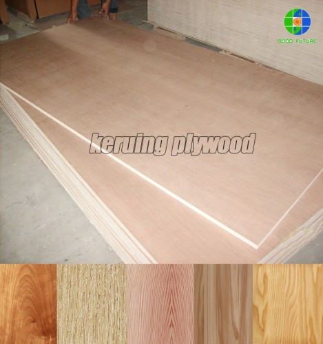 factory wholesale keruing plywood china