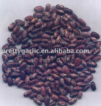 Red Speckle Kidney Beans