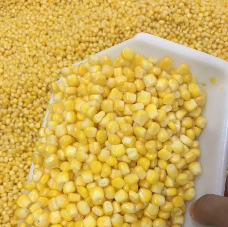 IQF Frozen Vegetables Sweet Corn