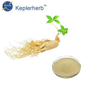 5% d&#39;extrait de ginseng panax