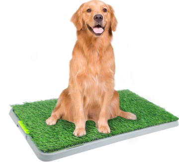 Dog Pee Pad for Potty Training