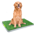 トイレトレーニングのための犬のおしっこパッド