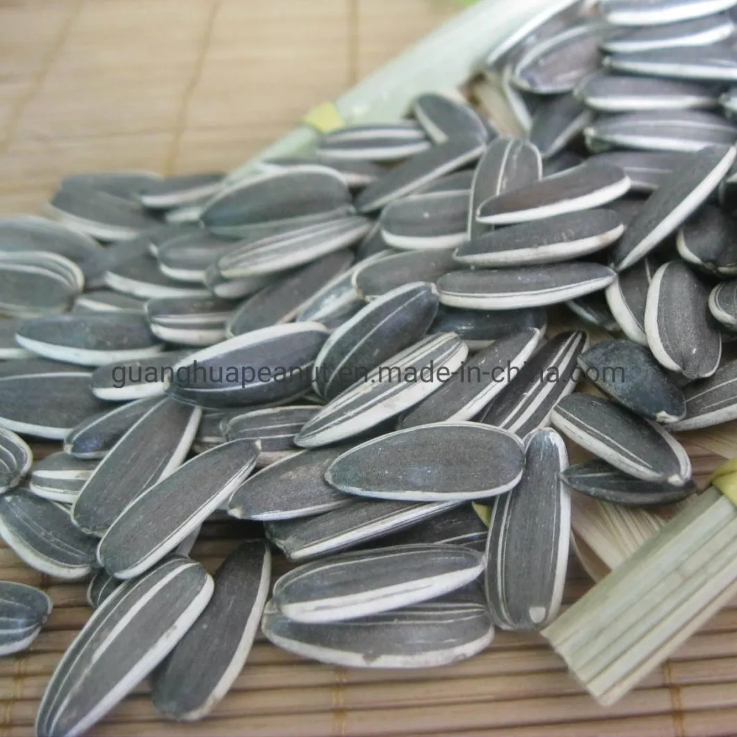 High Quality Sunflower Seeds From China