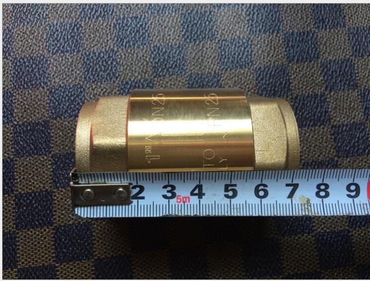 Brass Vertical Spring Check Valve, vertical bronze check valve