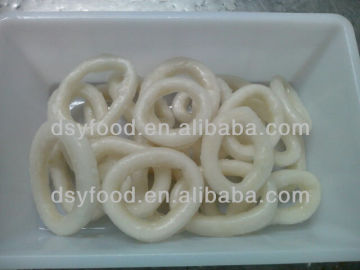 Frozen Squid Ring fish