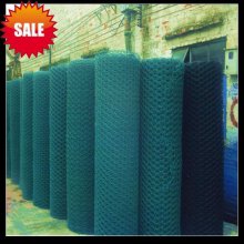 high quality Plastic Coated Chicken Wire Netting