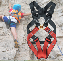 Children Rock Climbing Full Body Safety Harness with CE Certificate