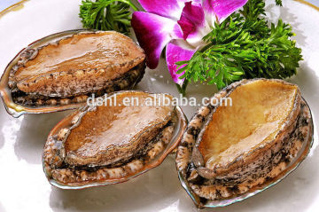 Frozen Cooked Abalone with shell