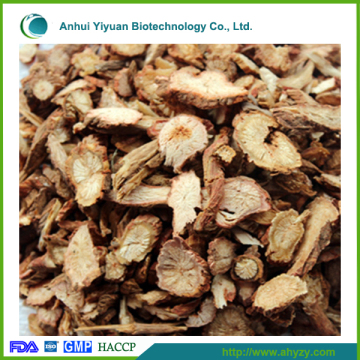 Supply raw herbs salvia miltiorrhiza (Danshen)