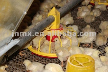 Poultry farming house breeds of broiler chickens equipment