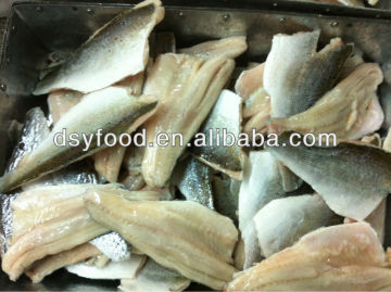 Sea bass Fillet Fish