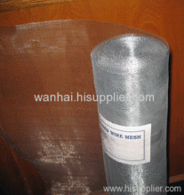 White Galvanized Iron Wire Netting?