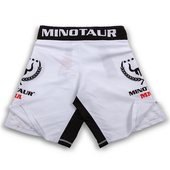 MMA shorts 