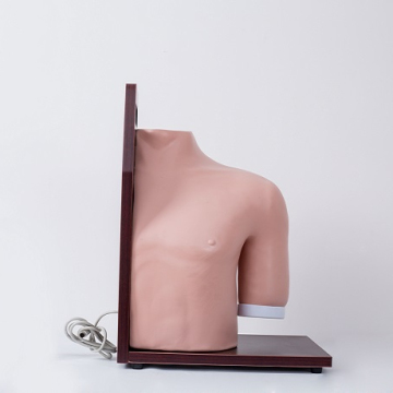 GD/L70 Advanced Electronic Shoulder Joint Injection Simulator and Manikin