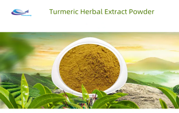 Water Soluble Curcumin Extract Powder Curcuma Longa