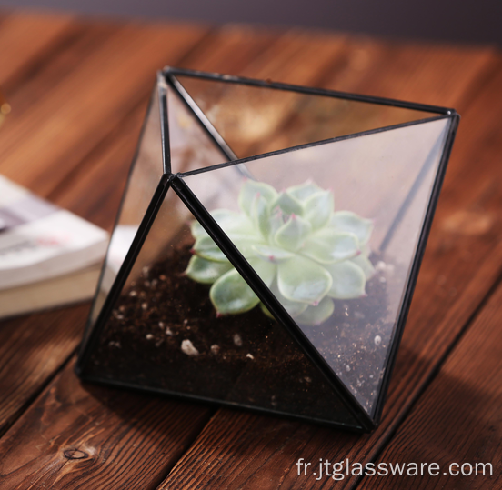 Conteneur en verre de terrarium géométrique de haute qualité fait à la main