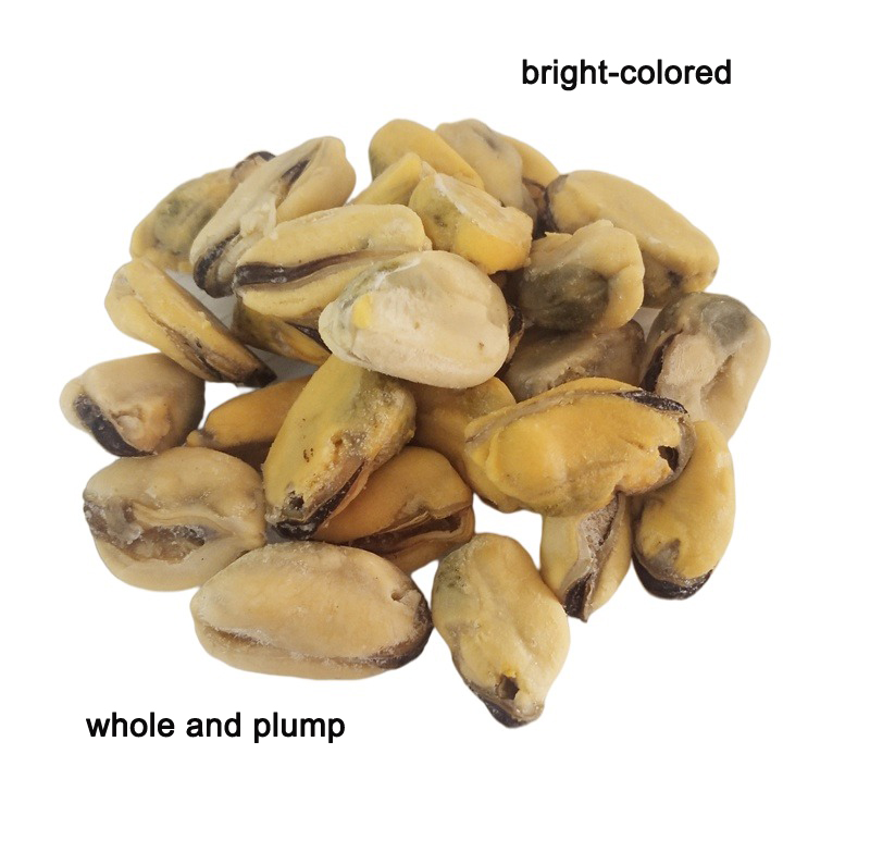 High quality blue mussels