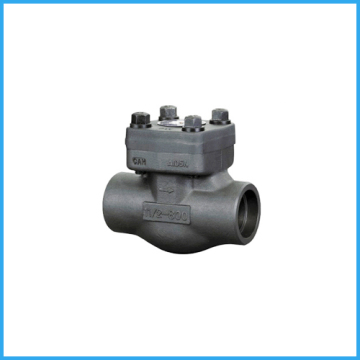 socket weld check valve 800lb