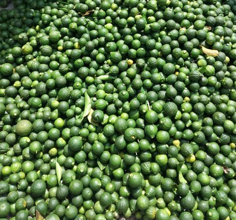 Aceite esencial de cáscara de naranja amarga al por mayor