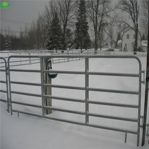 Steel Corral Fence Fences For Horses