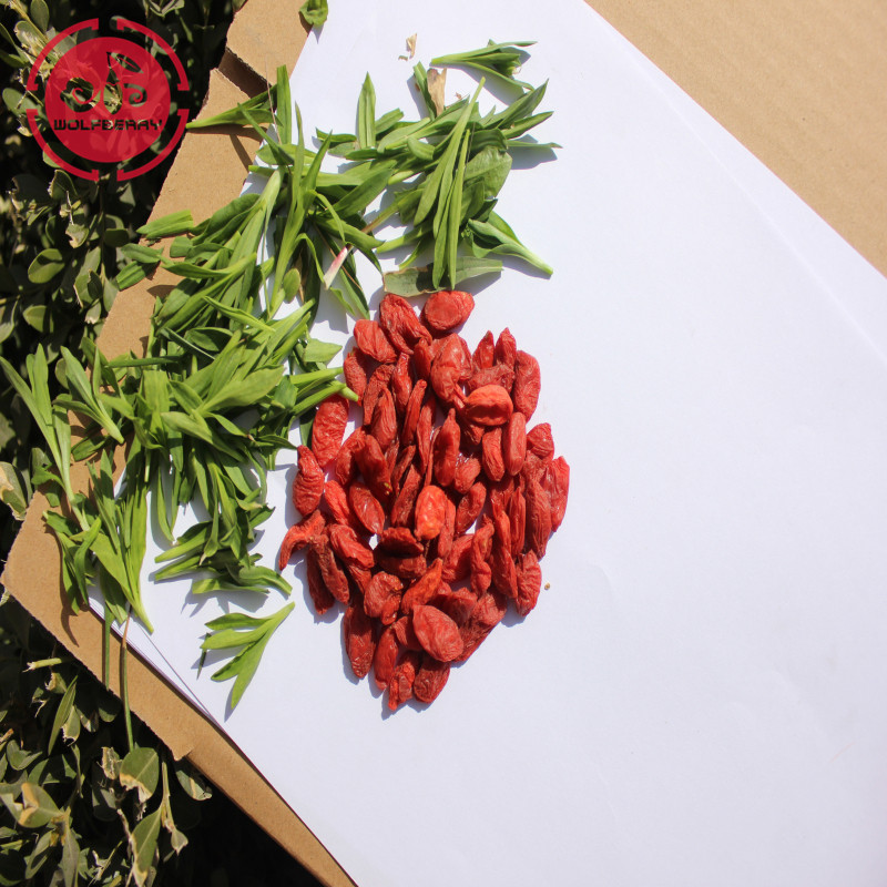 Vitamin ít chất béo dinh dưỡng thấp thuốc trừ sâu Goji Berries