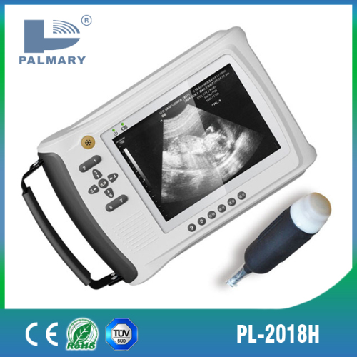 Handheld Ultrasound for Pig Pregnancy Pl-2018V