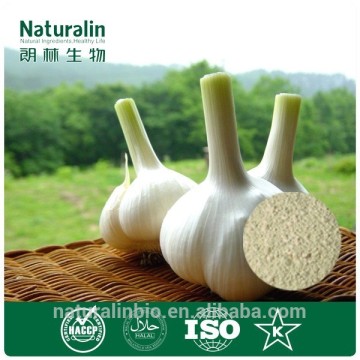 ISO&Kosher aged garlic powder extract supplements