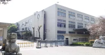 Knitted Viscose Cotton Single Jersey Printed Fabric