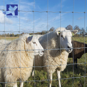 Wholesale Livestock Wire Mesh Fences for Cattle, Sheep, and Deer