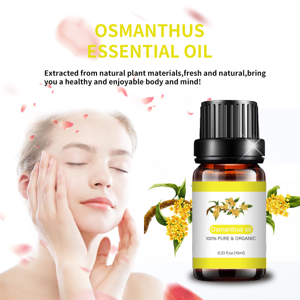 피부 일방적 인 Osmanthus 에센셜 오일을 자극하십시오