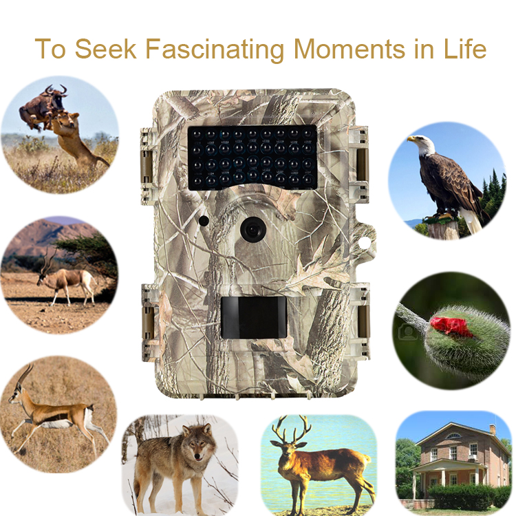 hunting trail camera