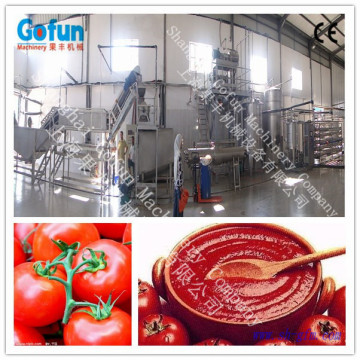 The professional supplier for vegetable juice processing line