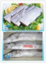 FROZEN RIBBON FISH STEAK/HAIRTAIL STEAK/ WHOLE ROUND
