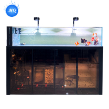 Large Saltwater Fish Tank with Full Setup
