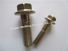 Hex Washer Bolt