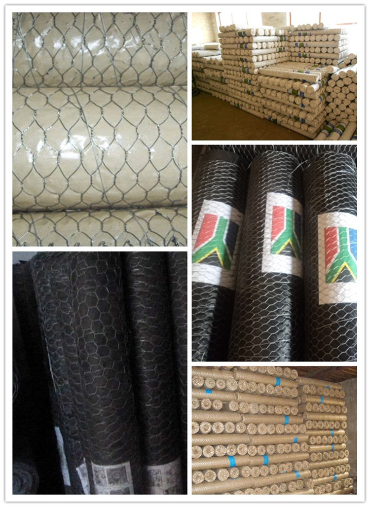 Hexagonal Wire Mesh q