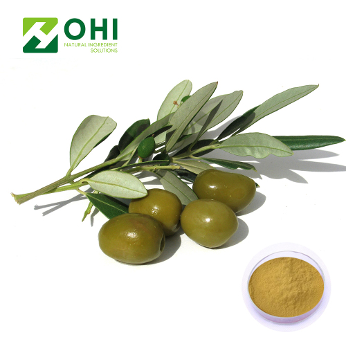 Olive Leaf Extract Oleuropein Powder