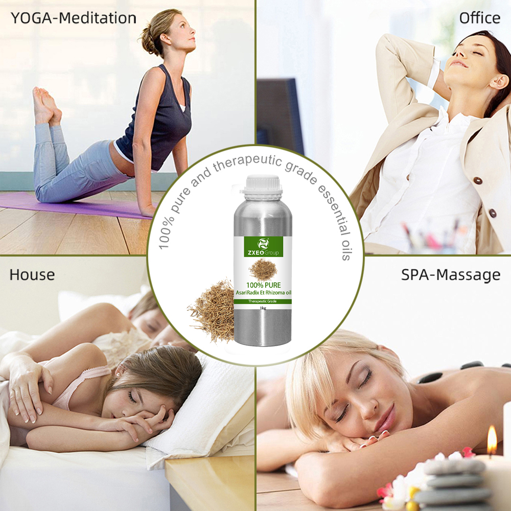 Prix ​​en vrac en gros 100% Asariradix et rhizoma huile relax aromathérapie eucalyptus globulus