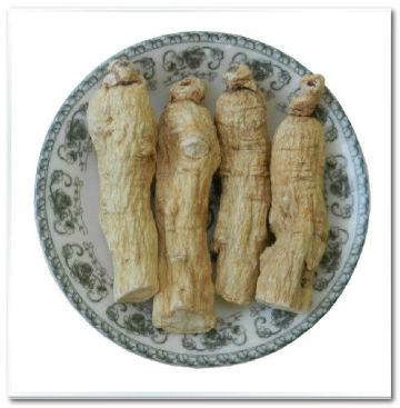 High Quality American Ginseng Root