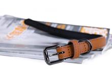 Colorful Leather Dog Collar