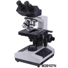 Binocular Head Microscope M29107N