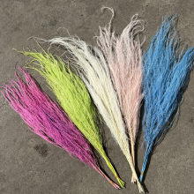 Preserved Tiki Fern Foliage Leaves for Sale