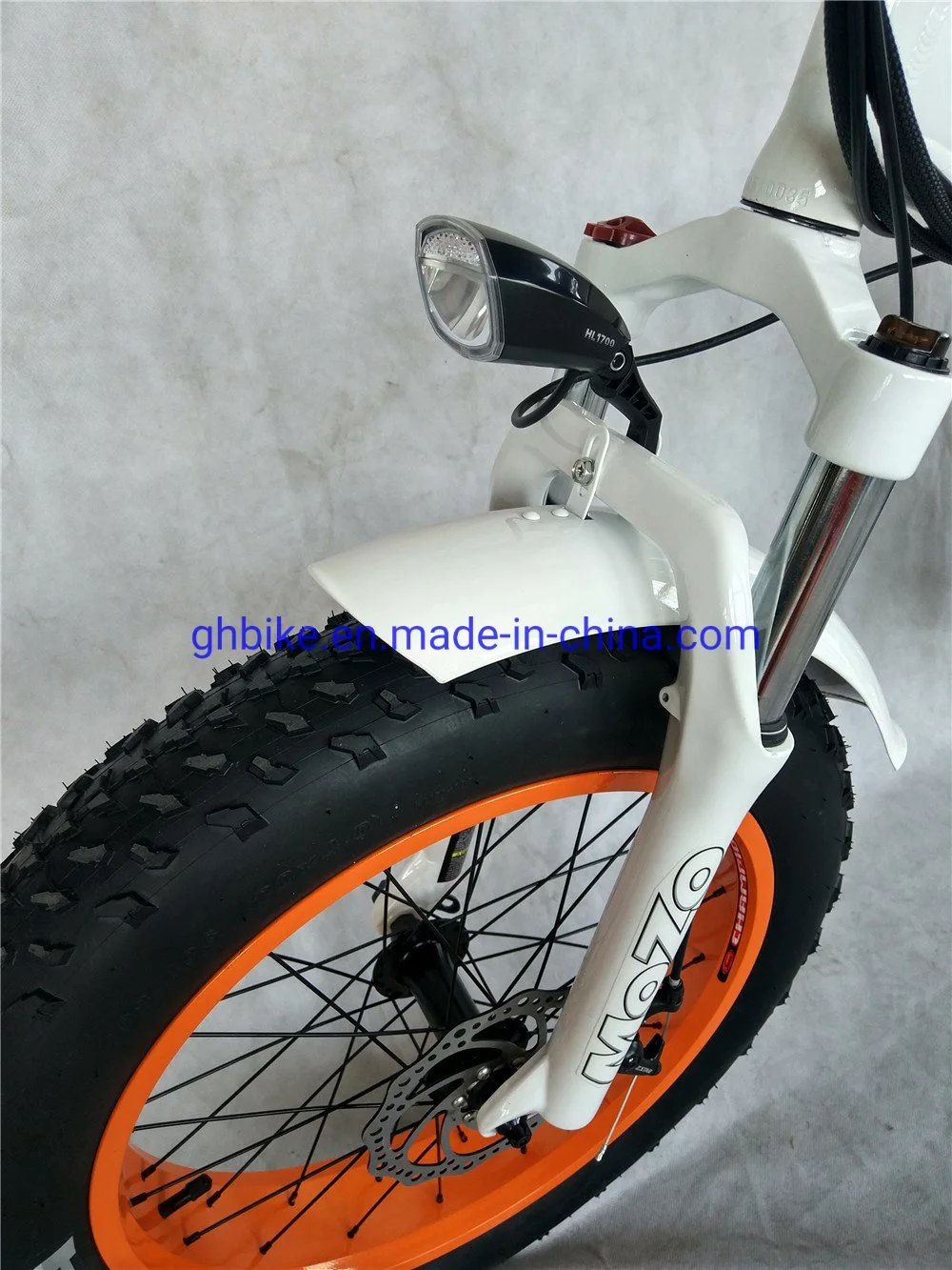 Lithium Battery Bafang 1000 Watt 48V Full Suspension 20