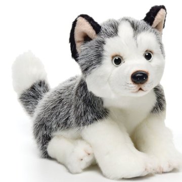 animal dog husky, stuffed plush husky