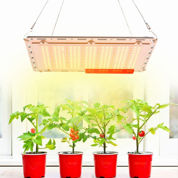 240W Indoor Grow Lights hydroponic led grow light