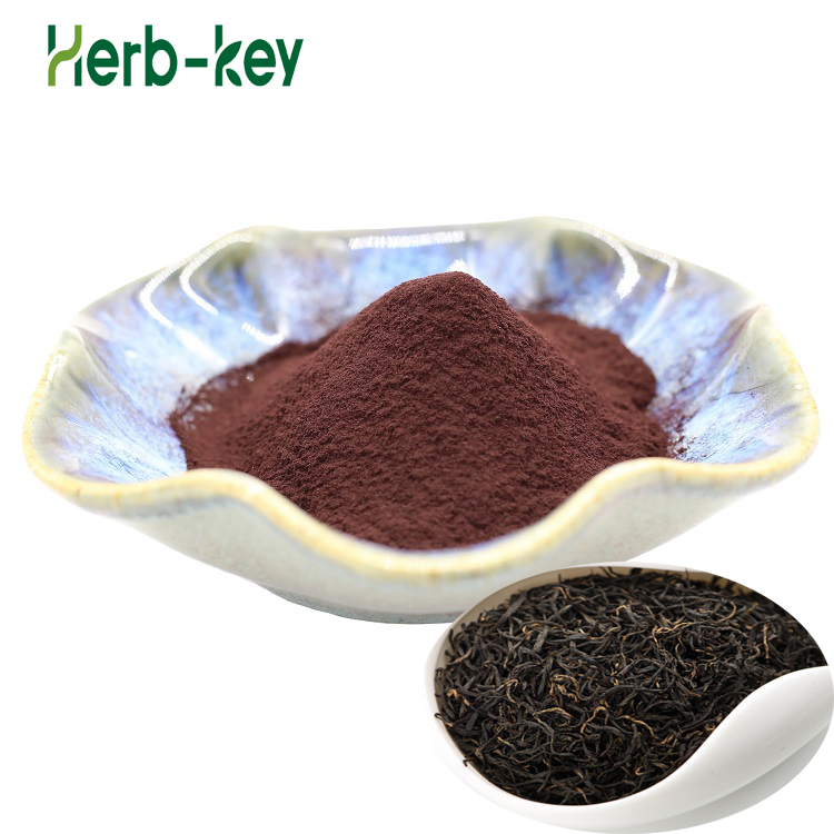 Instant black tea extract powder Black Tea Extract