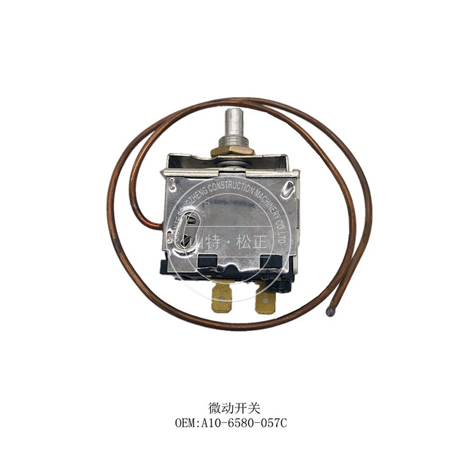 Auto Parts Temperature Control Sensor A106580057C A10-6580